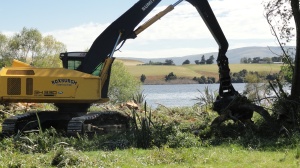 Machinery removing willow
